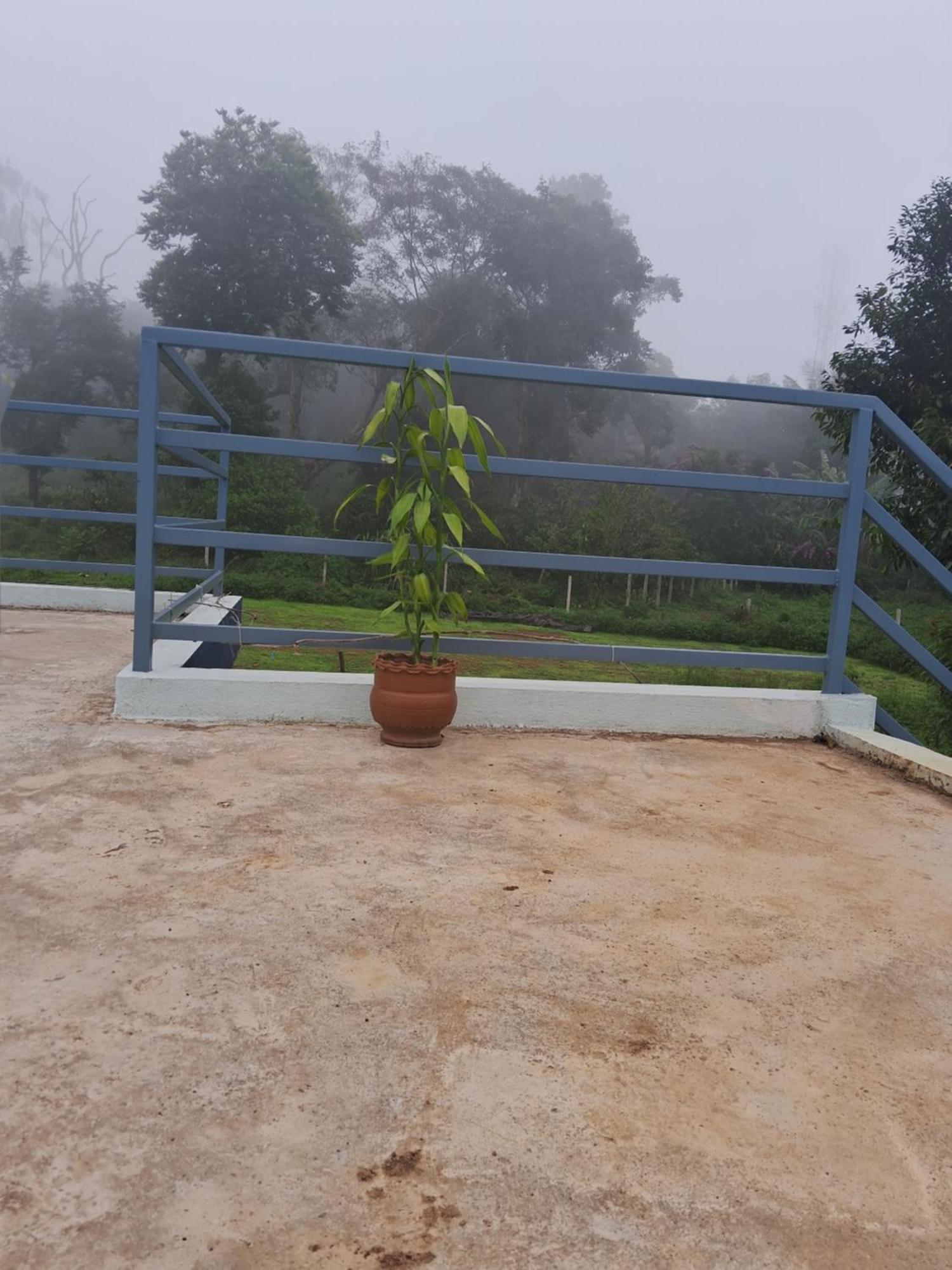 Coorg Teakwood Treasure Homestay Madikeri Eksteriør bilde