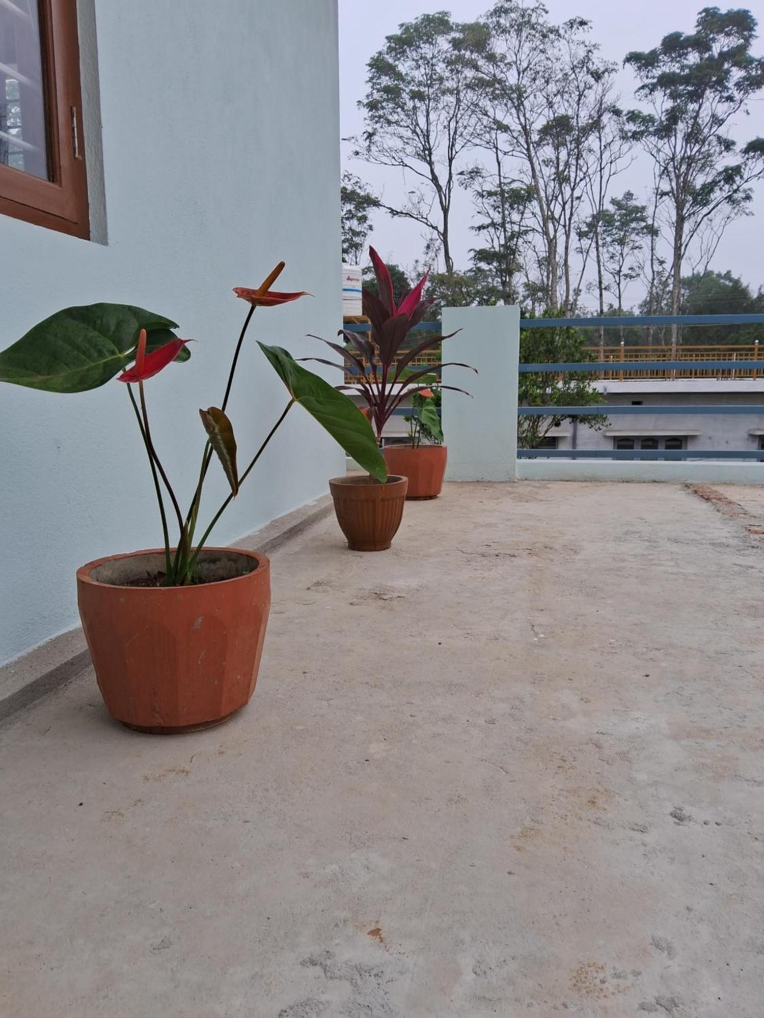 Coorg Teakwood Treasure Homestay Madikeri Eksteriør bilde